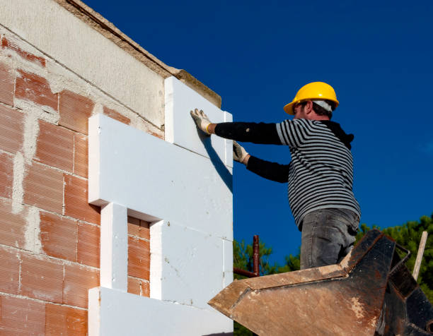 Best Cellulose Insulation  in Effort, PA