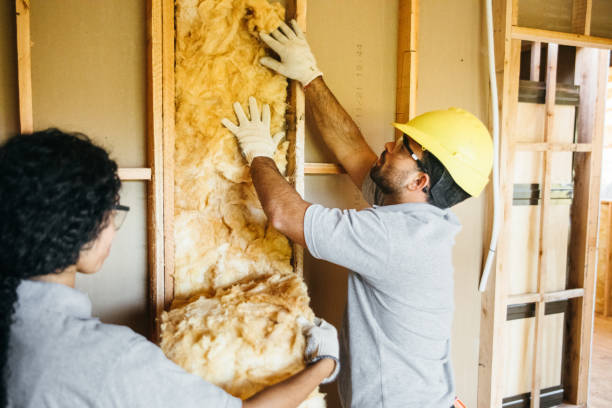 Best Garage Insulation Installation  in Effort, PA