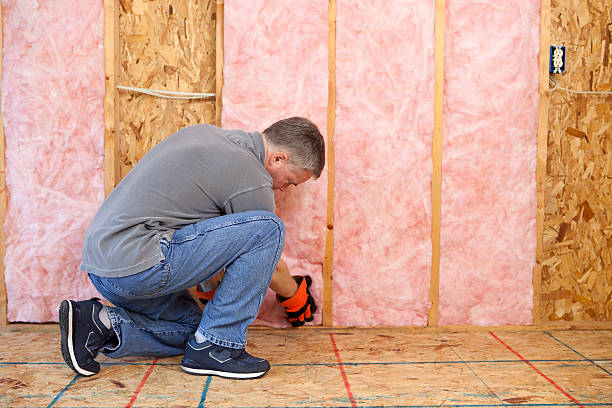 Best Soundproof Insulation Installation  in Effort, PA