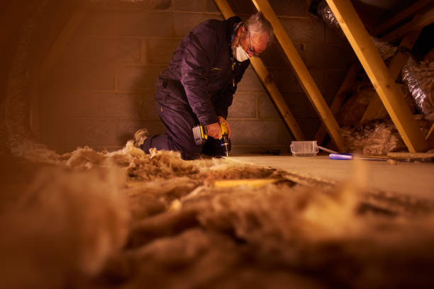Best Insulation for New Construction  in Effort, PA